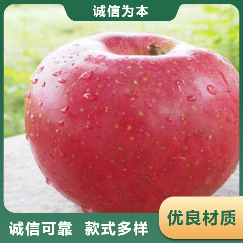 红富士苹果-嘎啦果产地源头好货
