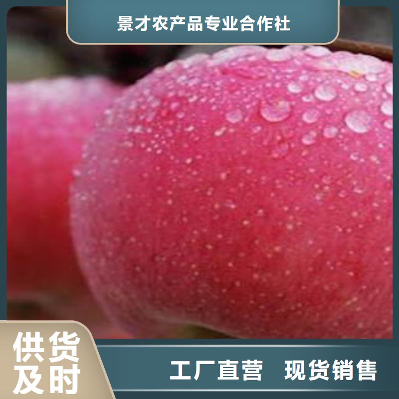 红富士苹果苹果可零售可批发