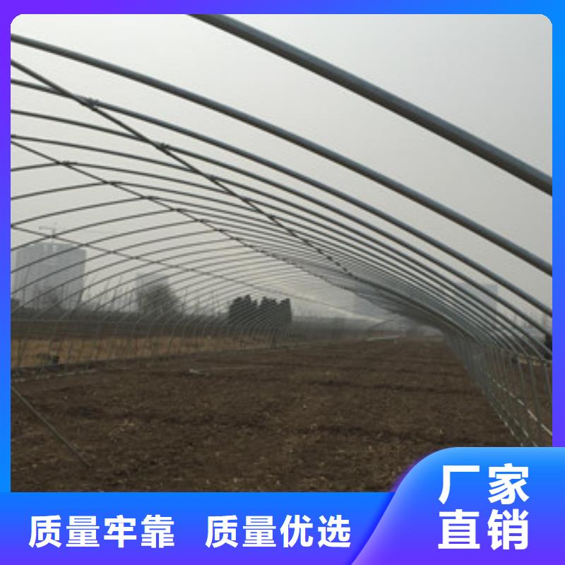 镀锌大棚管生产厂家价格