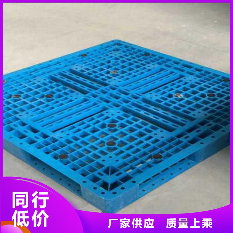 黑河塑料托盘厂家