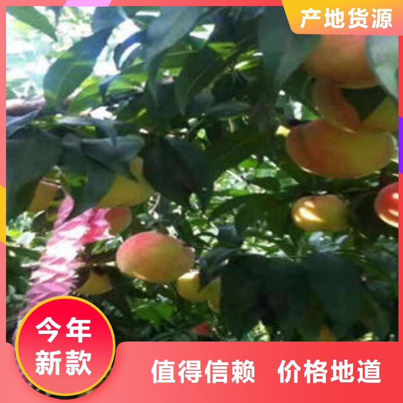 90公分管理方式