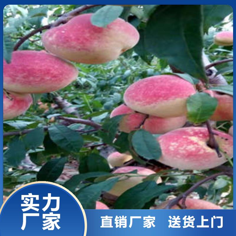 90公分管理方式