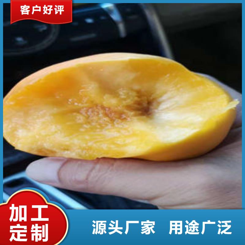 黄金桃树苗0.7公分