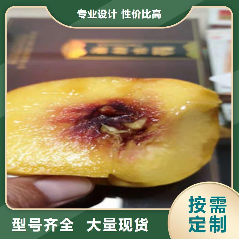 1.2厘米种植基地