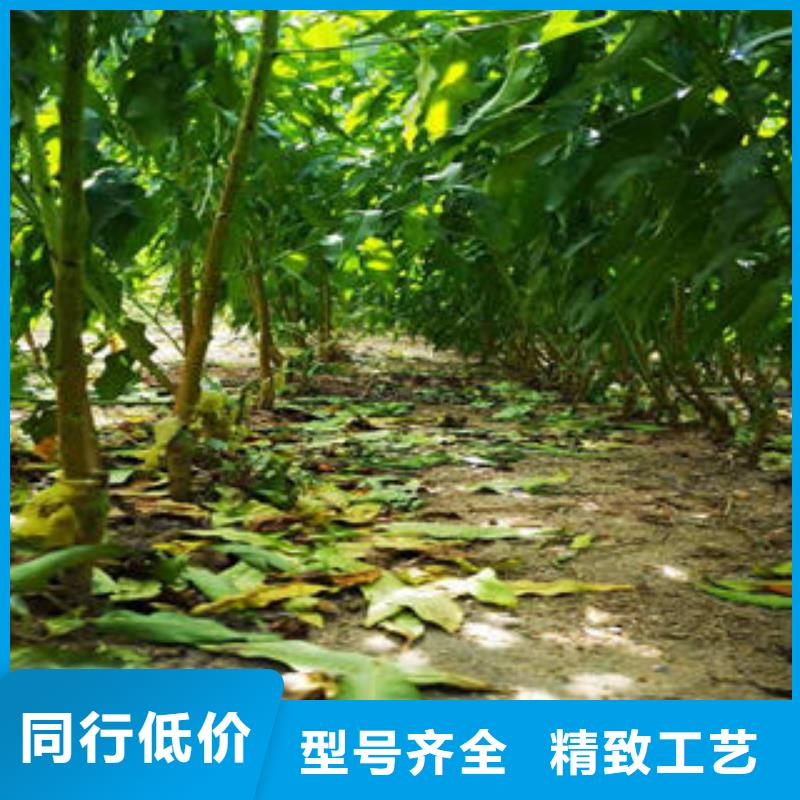 3年批发价格