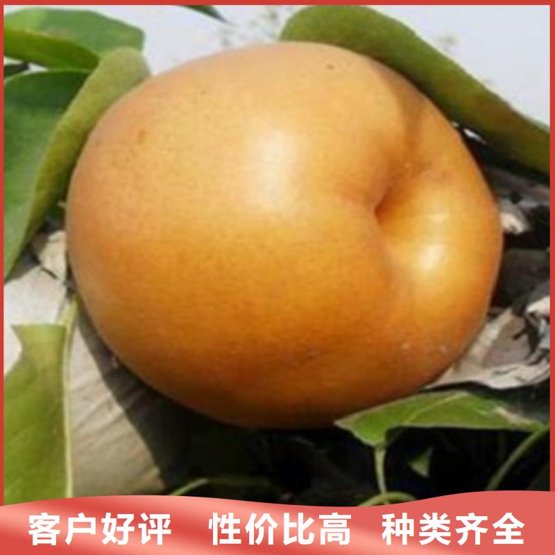2米质优价廉