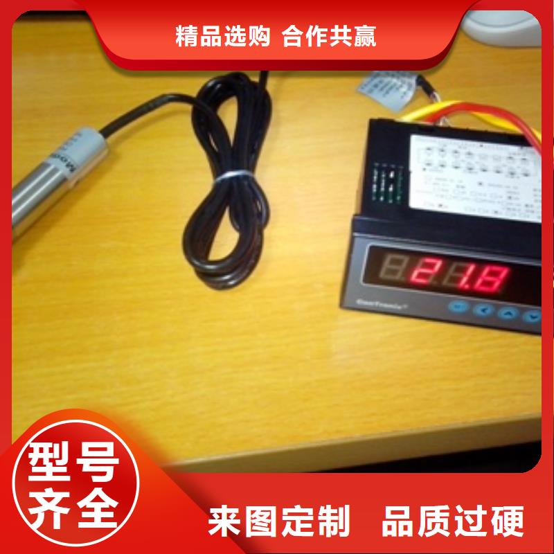 IRTP300Ls红外测温探头上海伍贺机电