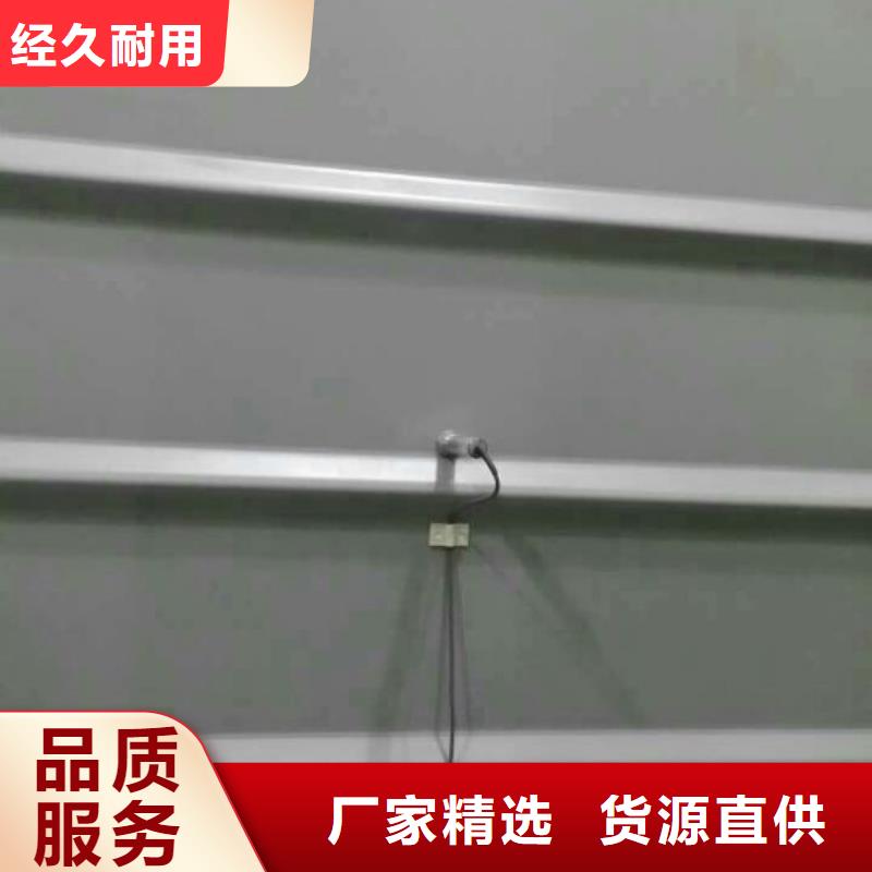 IRTP300L红外探头品质卓越