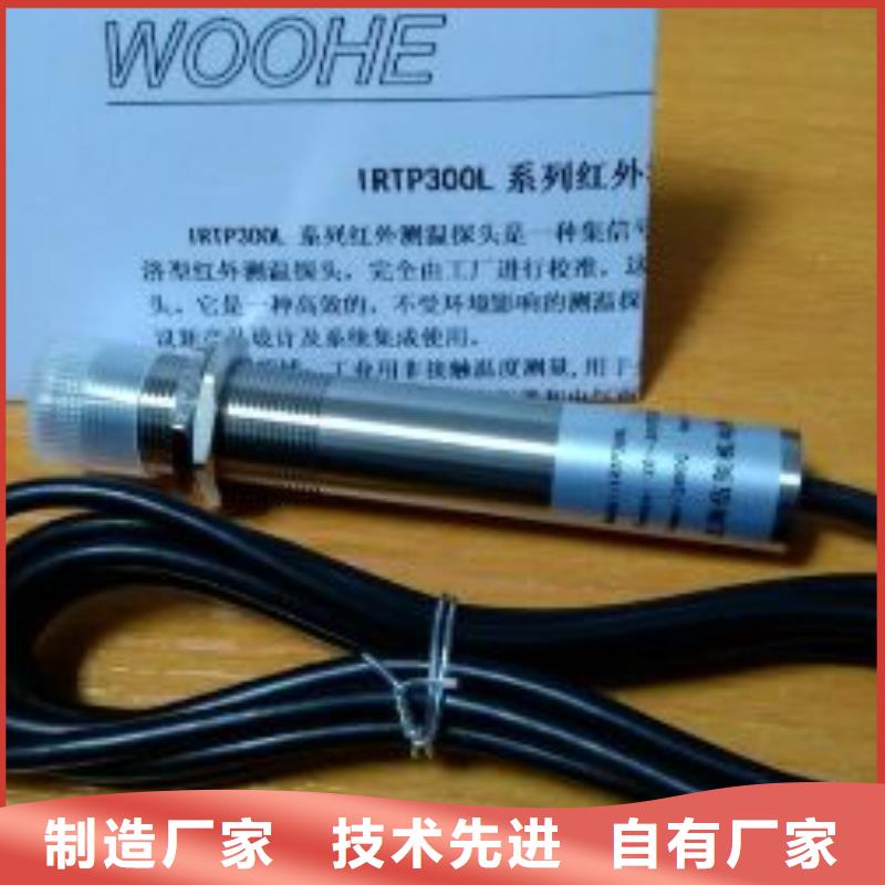 IRTP300L金属管浮子流量计品质优选