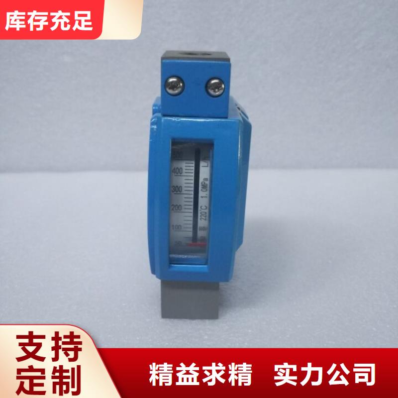 金属浮子流量计-温度无线测量系统好厂家有担当