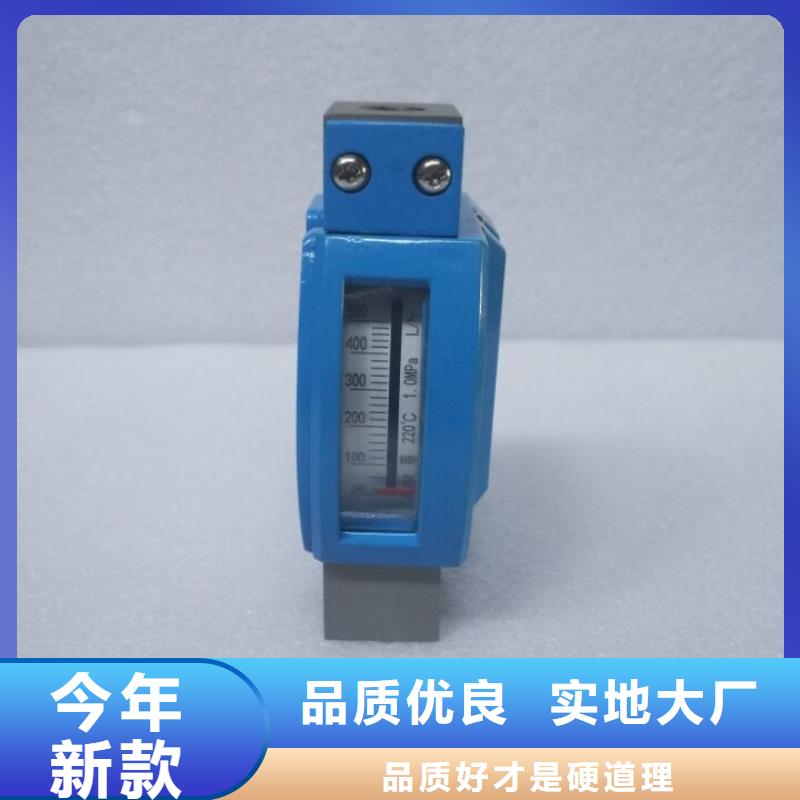 微小流量计吹扫装置一手价格