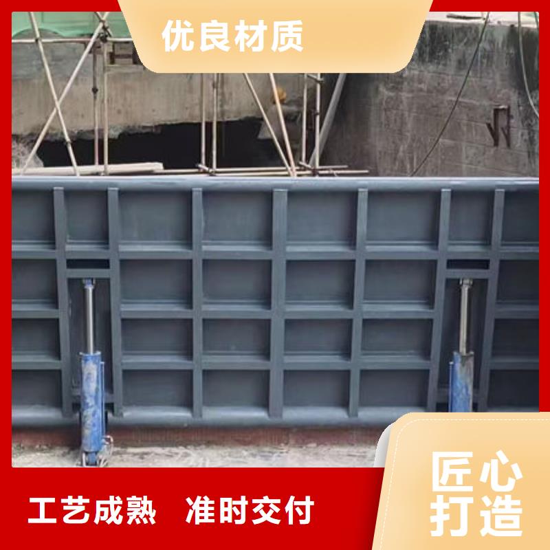 钢坝闸门,平板钢闸门专心专注专业
