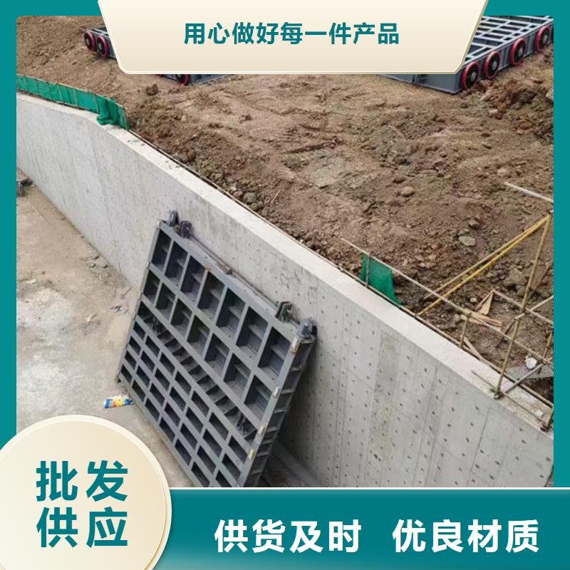 钢坝闸门,平板钢闸门专心专注专业