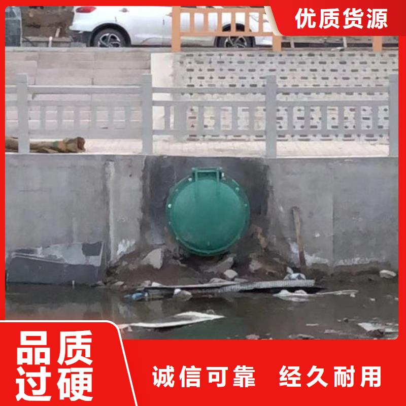 拍门防倒灌拍门品种全