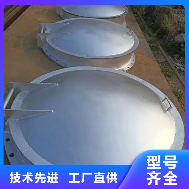 拍门防倒灌拍门品种全