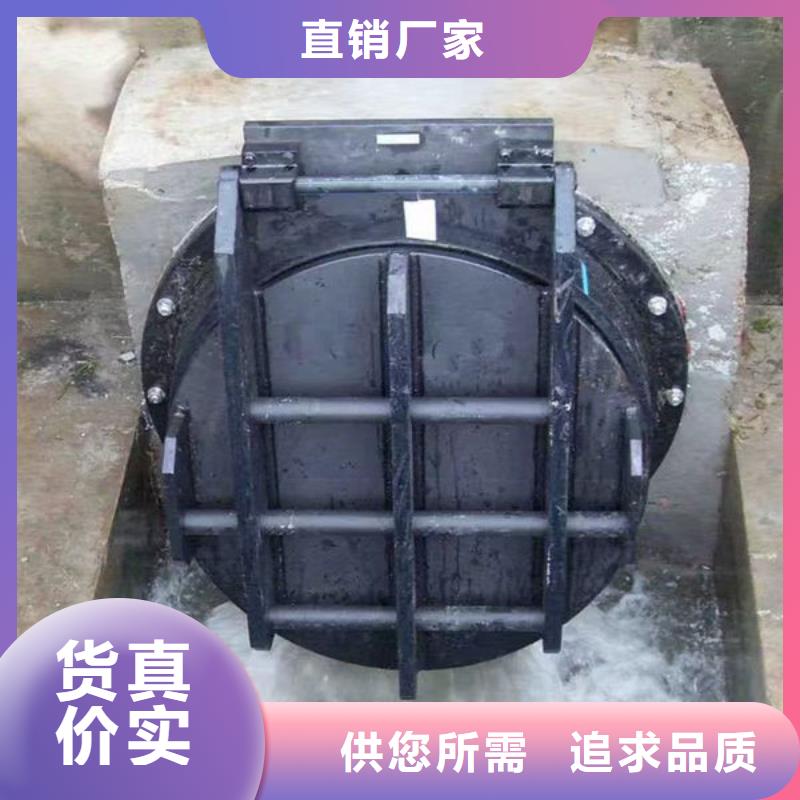 拍门防倒灌拍门品种全