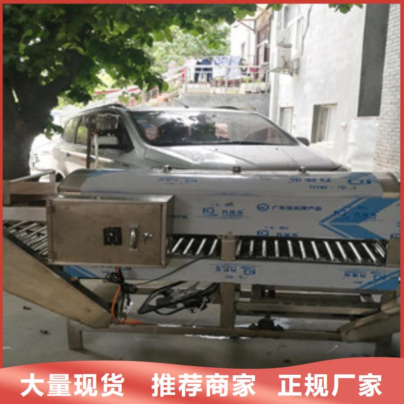 圆形凉皮机型号齐全