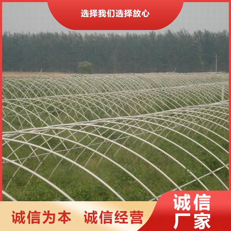 镀锌大棚管,1060铝排电力优良工艺