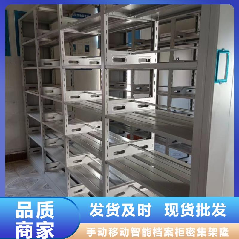 总经销【桦平】双柱密集架