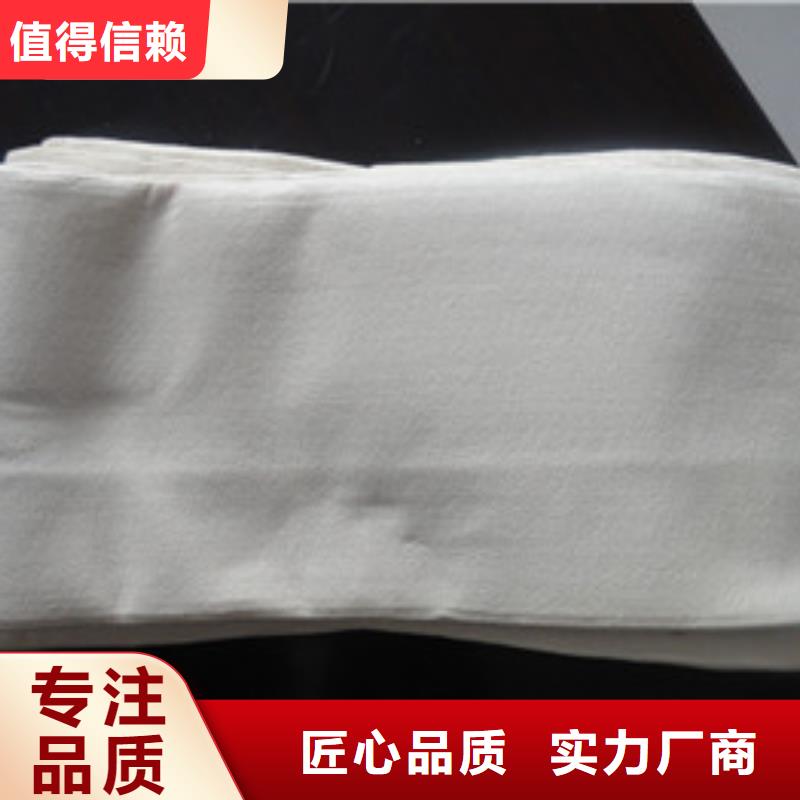 泊头定做袋式除尘器滤袋