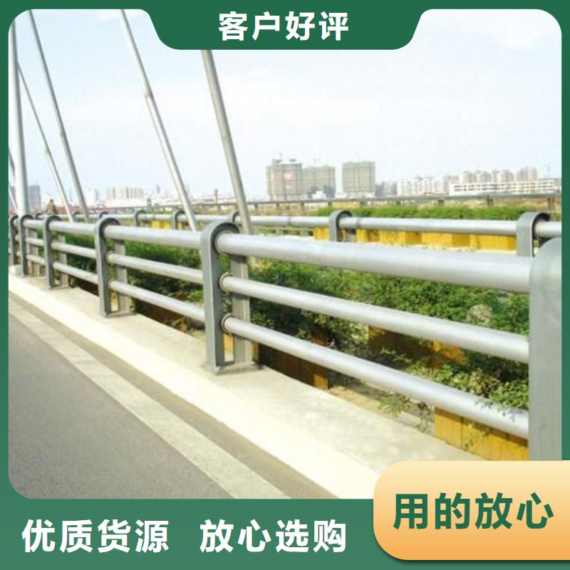 防撞护栏_河道护栏敢与同行比质量