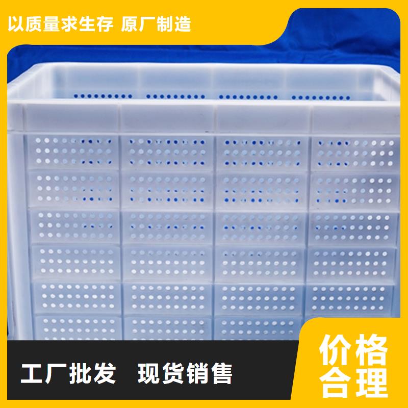 塑料筐叉车托盘厂家