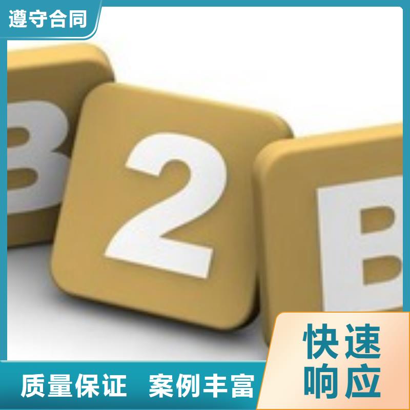 马云网络,网络公司实力商家