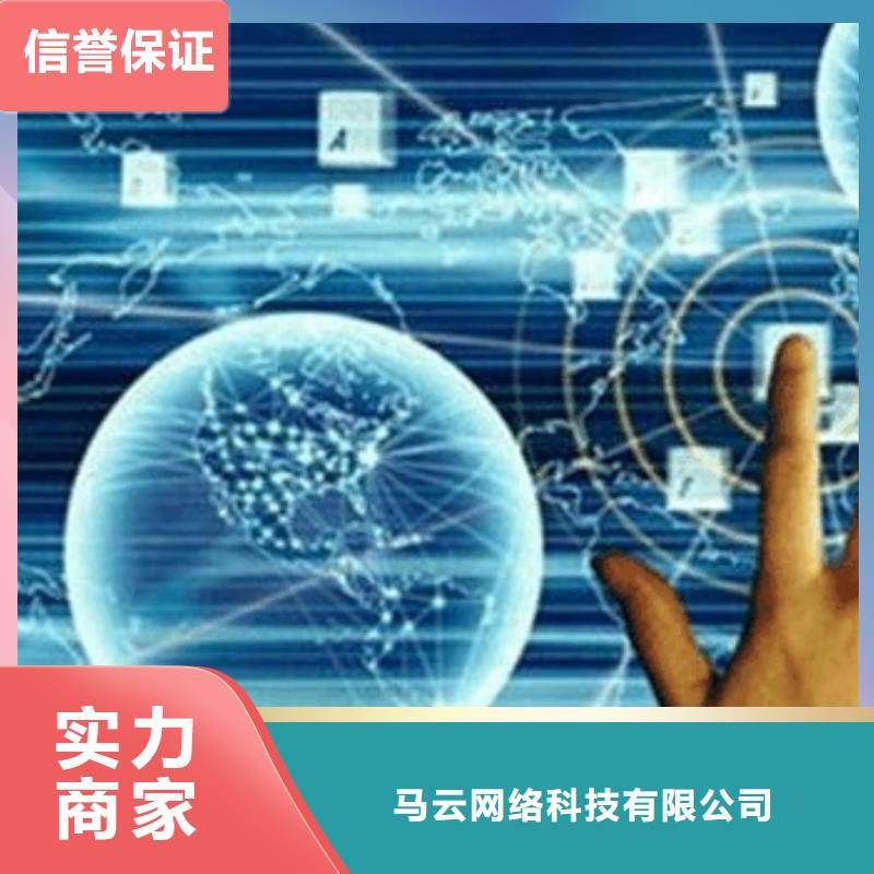 马云网络,网络公司实力商家