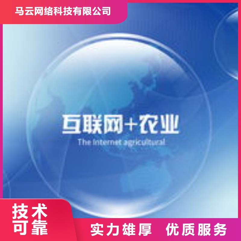 马云网络网络公司
