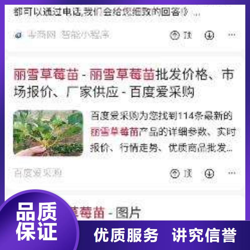 手机端推广铸造金品