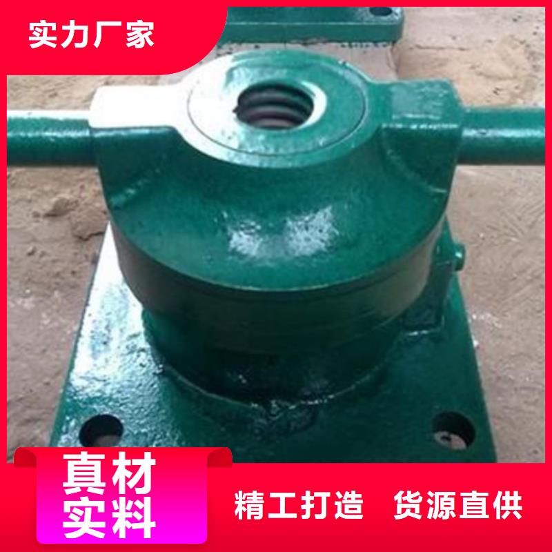 卷扬启闭机-10年实体厂家