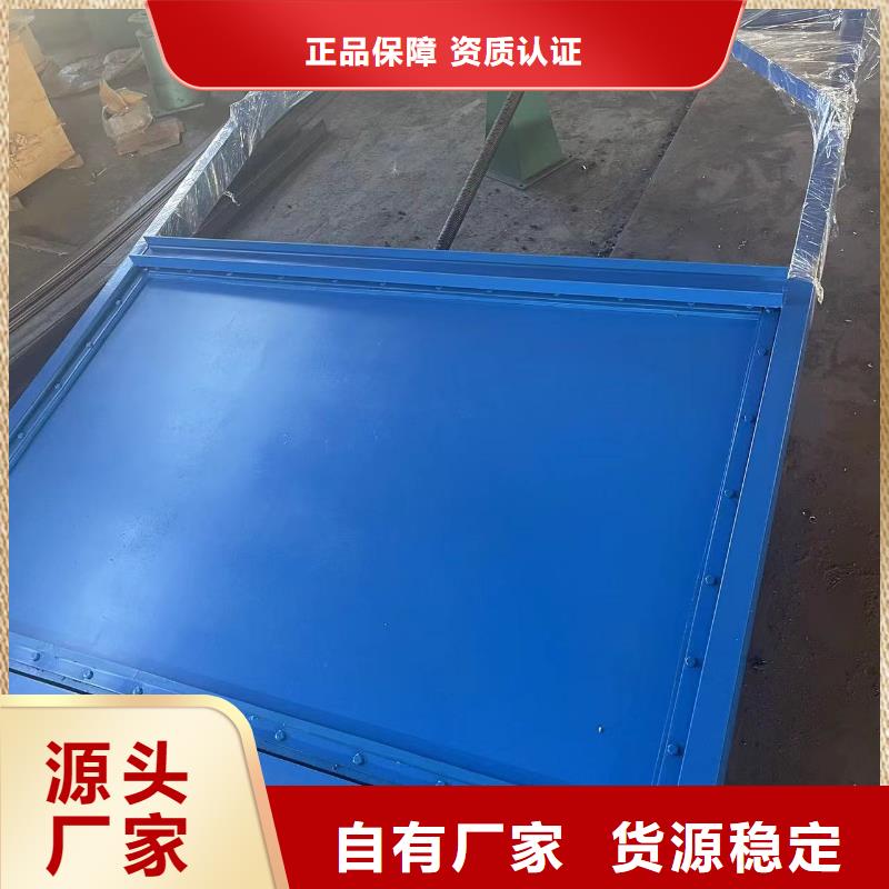 定轮钢闸门制造