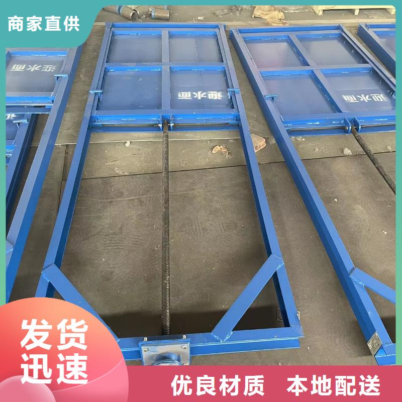 定轮钢闸门制造