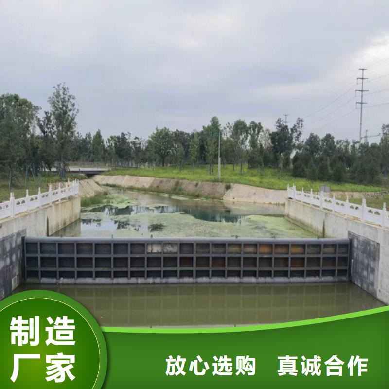 钢闸门实时报价