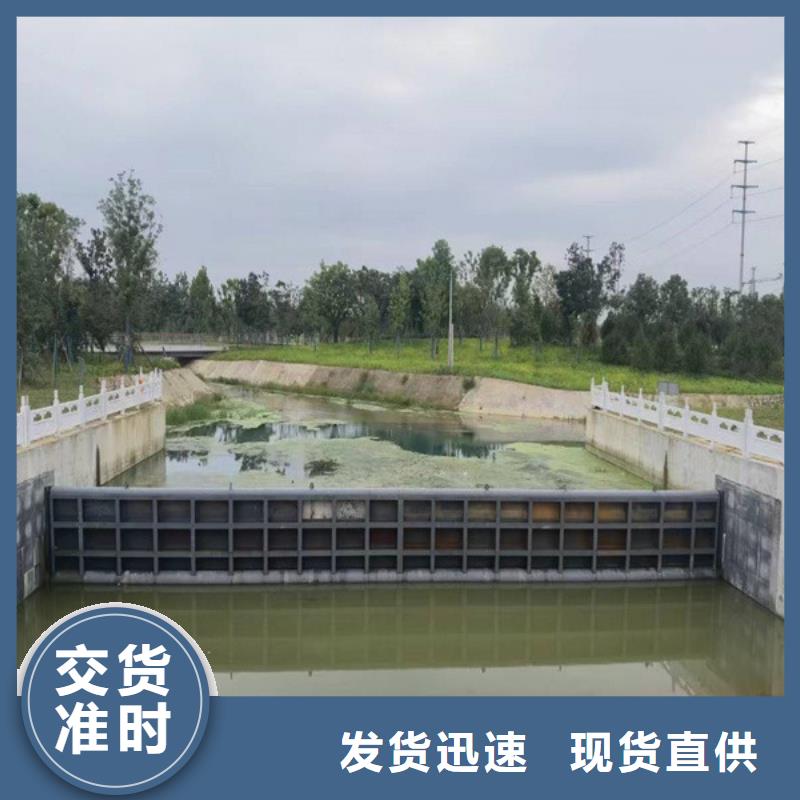 景观钢坝钢制平面闸门生产商