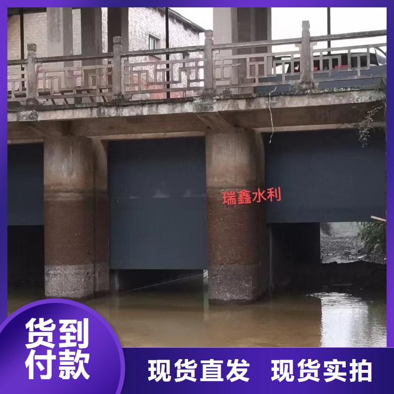  钢闸门实时报价