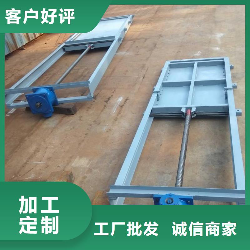 机门一体钢制闸门