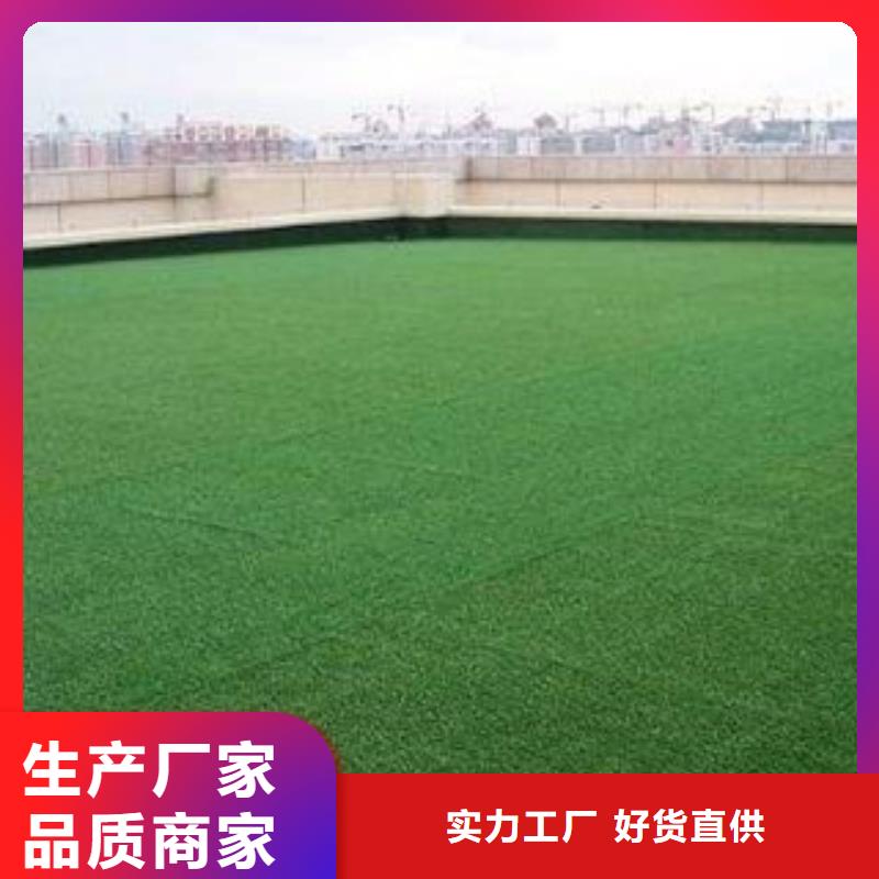 人造草坪塑胶跑道符合行业标准