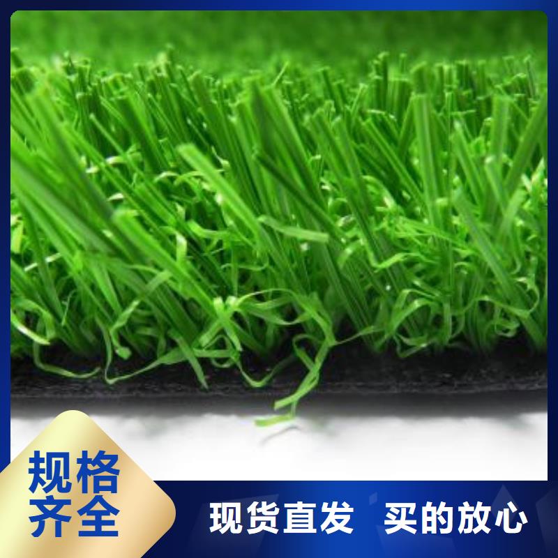人造草坪塑胶跑道诚信商家