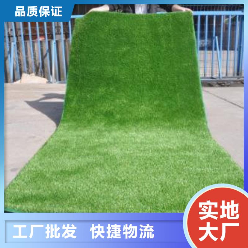 人造草坪塑胶跑道符合行业标准