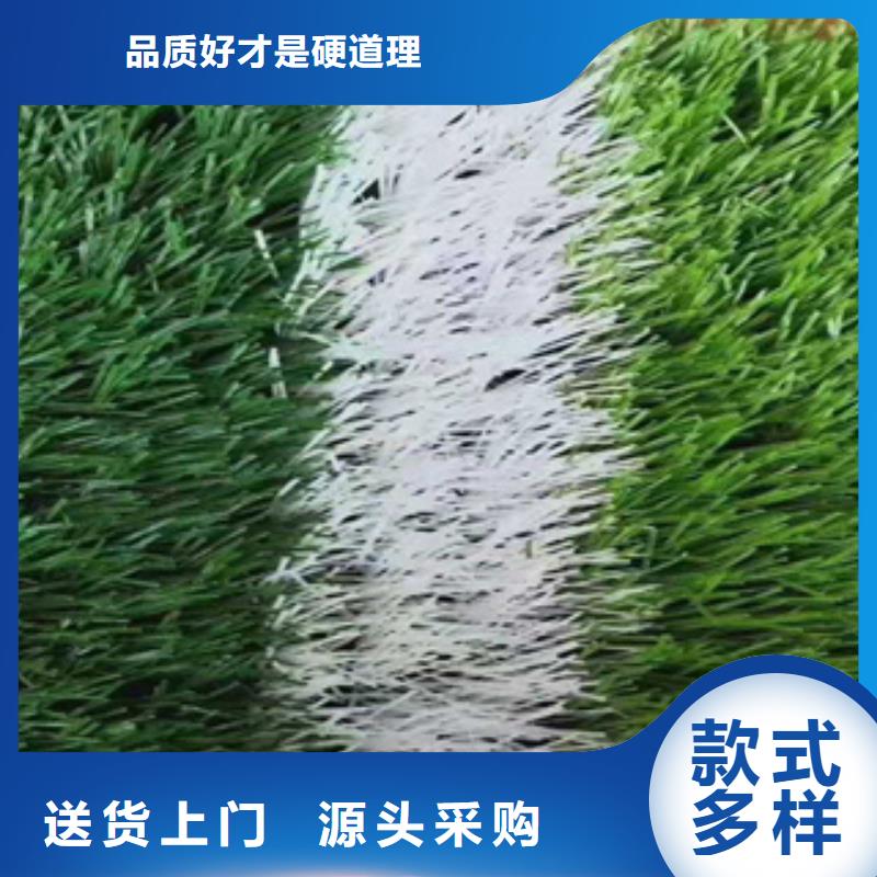 人造草坪塑胶跑道诚信商家