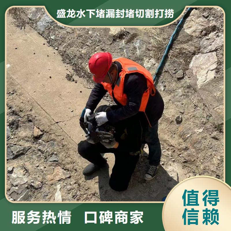 南岗区蛙人潜水作业-放心