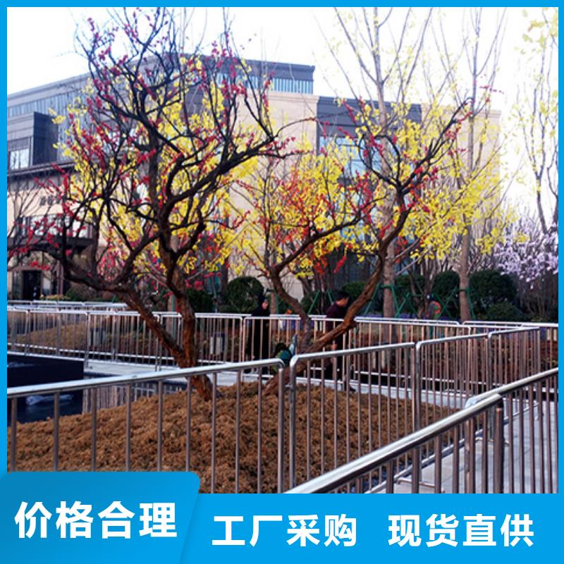铁马护栏出租篷房租赁出租拒绝虚高价