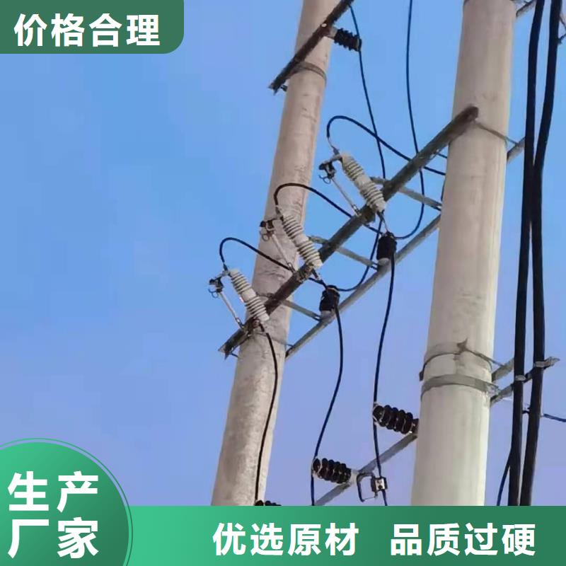 跌落式熔断器_XRNT-12KV熔断器制造厂家