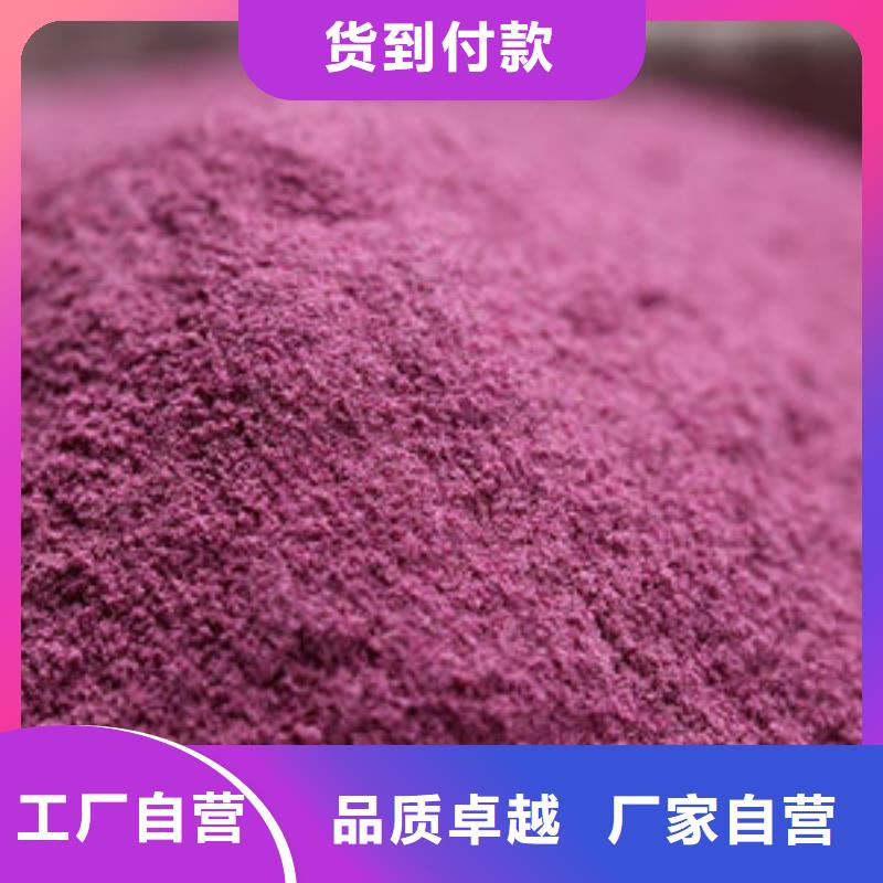 紫薯粉【羽衣甘蓝粉】直销厂家