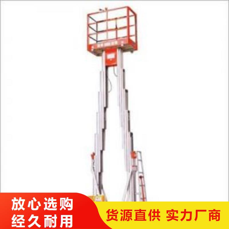 双桅柱升降机按需定制
