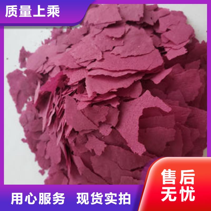 紫甘薯苗报价