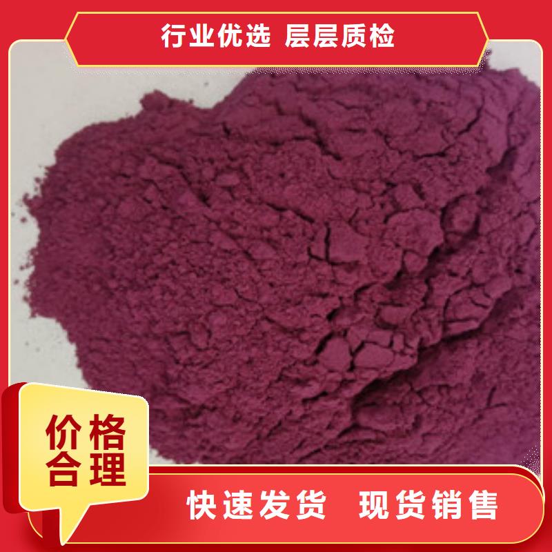 紫地瓜苗哪里有卖的