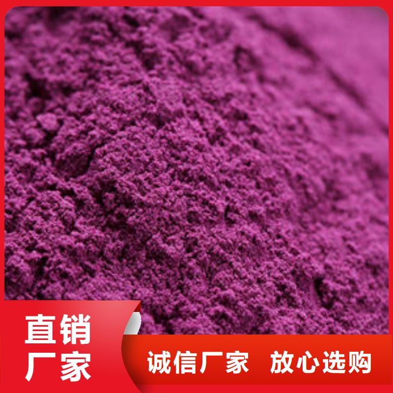 紫薯苗（绫紫）批发销售
