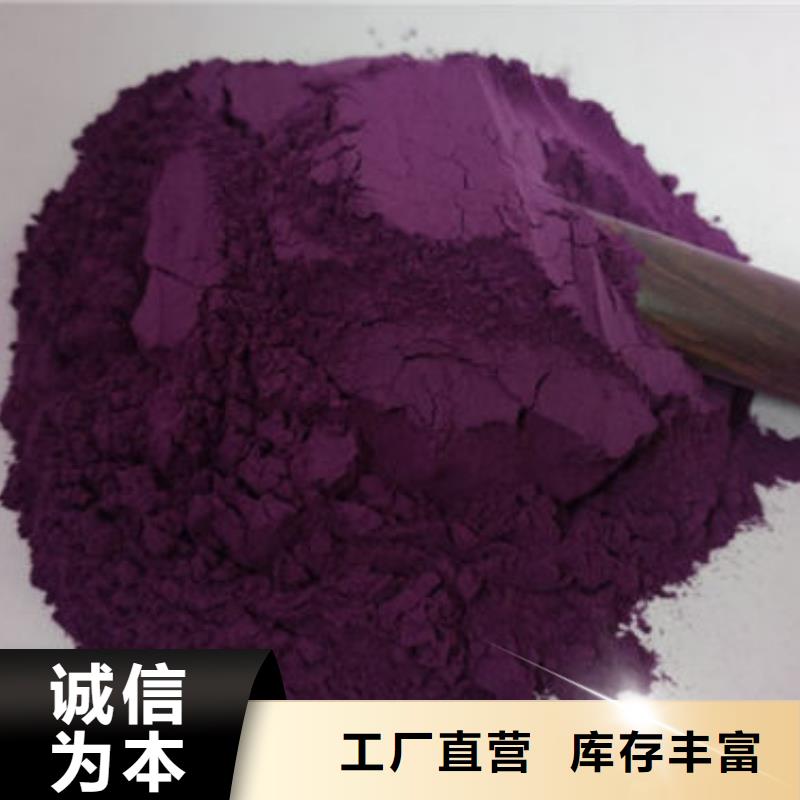 紫薯粉羽衣甘蓝粉专业生产制造厂